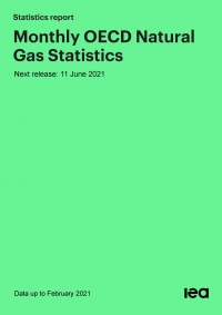 IEA: Monthly Natural Gas Statistics - May 2021 (data for February 2021) - eng (pdf, xls)