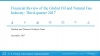 EIA: Financial Review of the Global Oil and Natural Gas Industry: 3rd Quarter 2017 - eng (pdf)