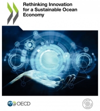 OECD: Rethinking Innovation for a Sustainable Ocean Economy - February 2019 - eng (online)