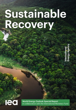 IEA: Sustainable Recovery - World Energy Outlook Special Report  - June 2020 - eng (pdf)