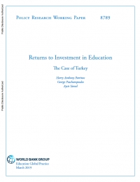 World Bank: Returns to Investment in Education: The Case of Turkey - March 2019 - eng (pdf)