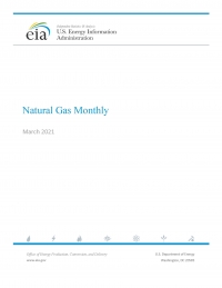 EIA: Natural Gas Monthly - March 2021 (data for January 2021) - eng (pdf)