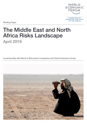 WEF: The Middle East and North Africa Risks Landscape - April 2019 - eng (pdf)