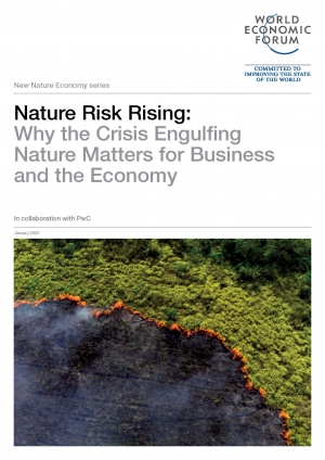 WEF: Nature Risk Rising: Why the Crisis Engulfing Nature Matters for Business and the Economy - January 2020 - eng (pdf)