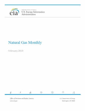 EIA: Natural Gas Monthly - February 2019 (data for December 2018) - eng (pdf)