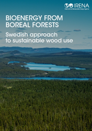 IRENA: Bioenergy from boreal forests: Swedish approach to sustainable wood use - March 2019 - eng (pdf)