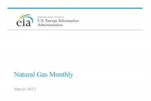 EIA: Natural Gas Monthly - January 2017 - eng (pdf)