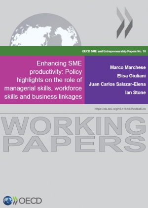 OECD: Enhancing SME productivity: Policy highlights on the role of managerial skills, workforce skills and business linkages - June 2019 - eng (pdf)