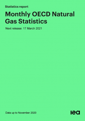 IEA: Monthly Natural Gas Statistics - February 2021 (data for November 2020) - eng (pdf, xls)