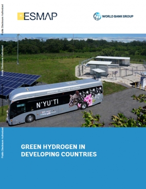 World Bank: Green Hydrogen in Developing Countries - August 2020 - eng (pdf)