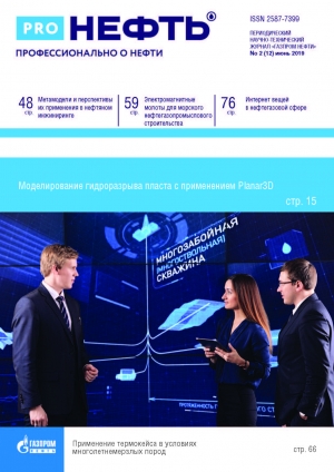 Журнал &quot;PROнефть. Профессионально о нефти&quot; - №2/12 - июнь 2019 (pdf) (Газпром нефть)