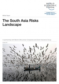 WEF: The South Asia Risks Landscape - October 2019 - eng (pdf)