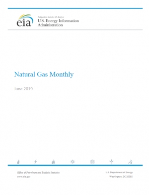 EIA: Natural Gas Monthly - June 2019 (data for April 2019) - eng (pdf)
