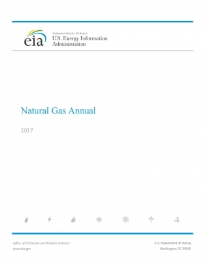EIA: Natural Gas Annual - 2017 - eng (pdf)
